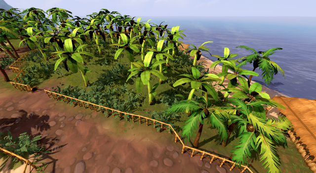 Banana plantation