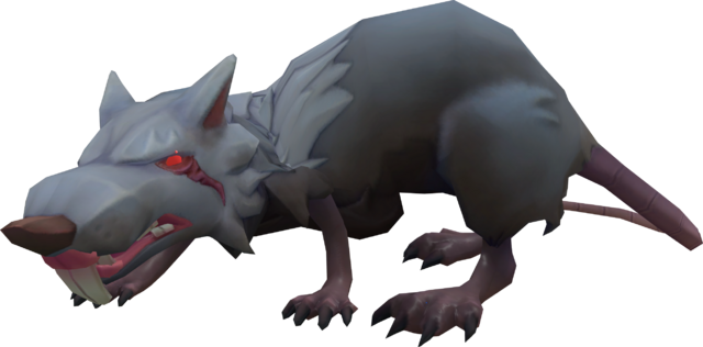 Giant Rat