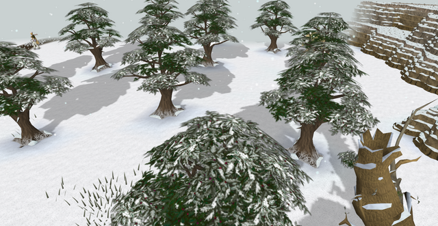 Land of Holly and Hawthorn