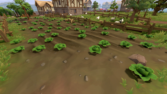 Lumbridge cabbage patch