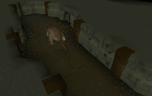Mouse Hole
