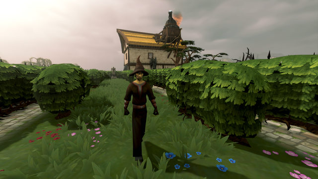 Witch's House